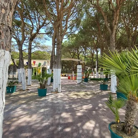 Bellissima Casa Al Mare Con Vista Mozzafiato Apartment